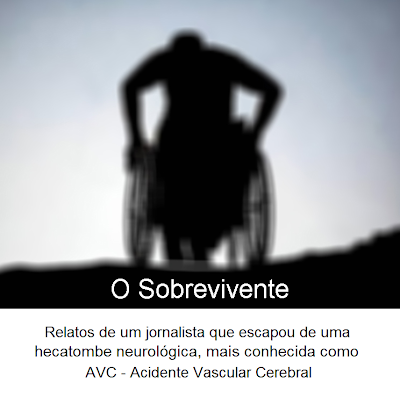 O Sobrevivente!: Requiem para Luiz Fernando Levy (I)